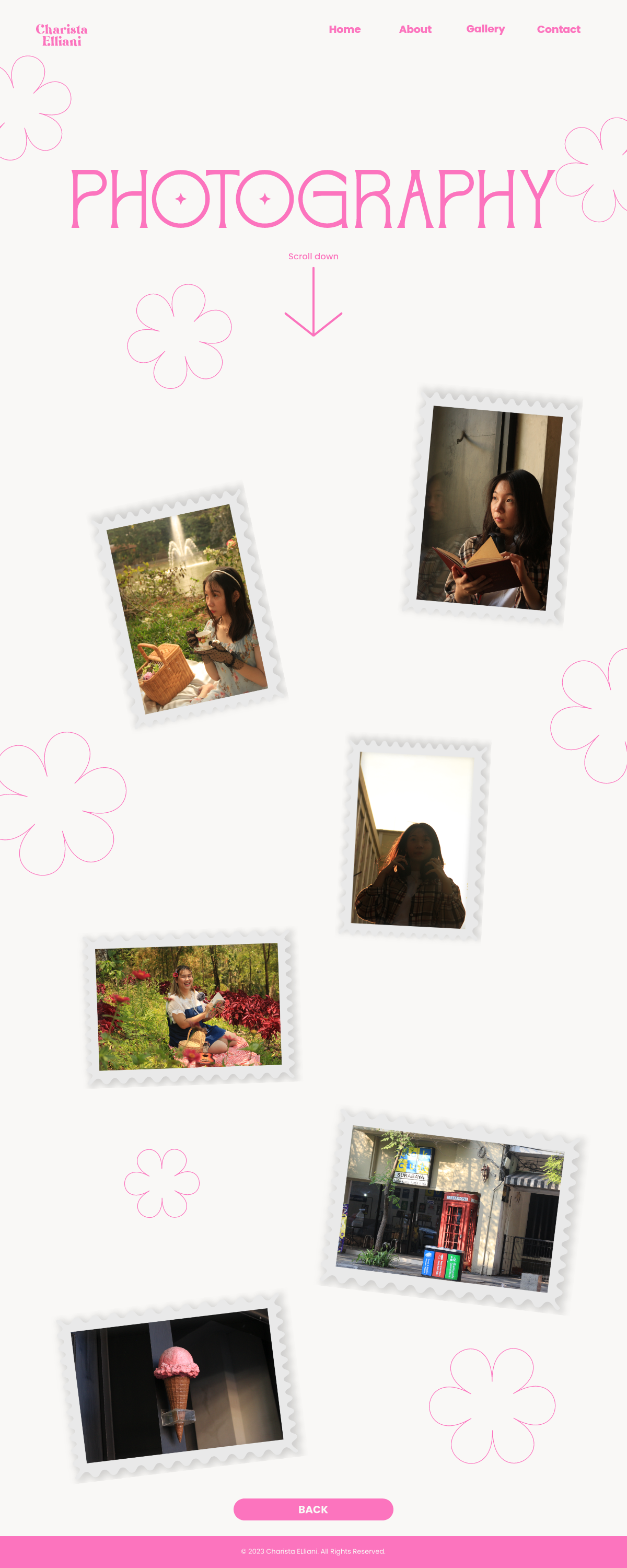 Website 2