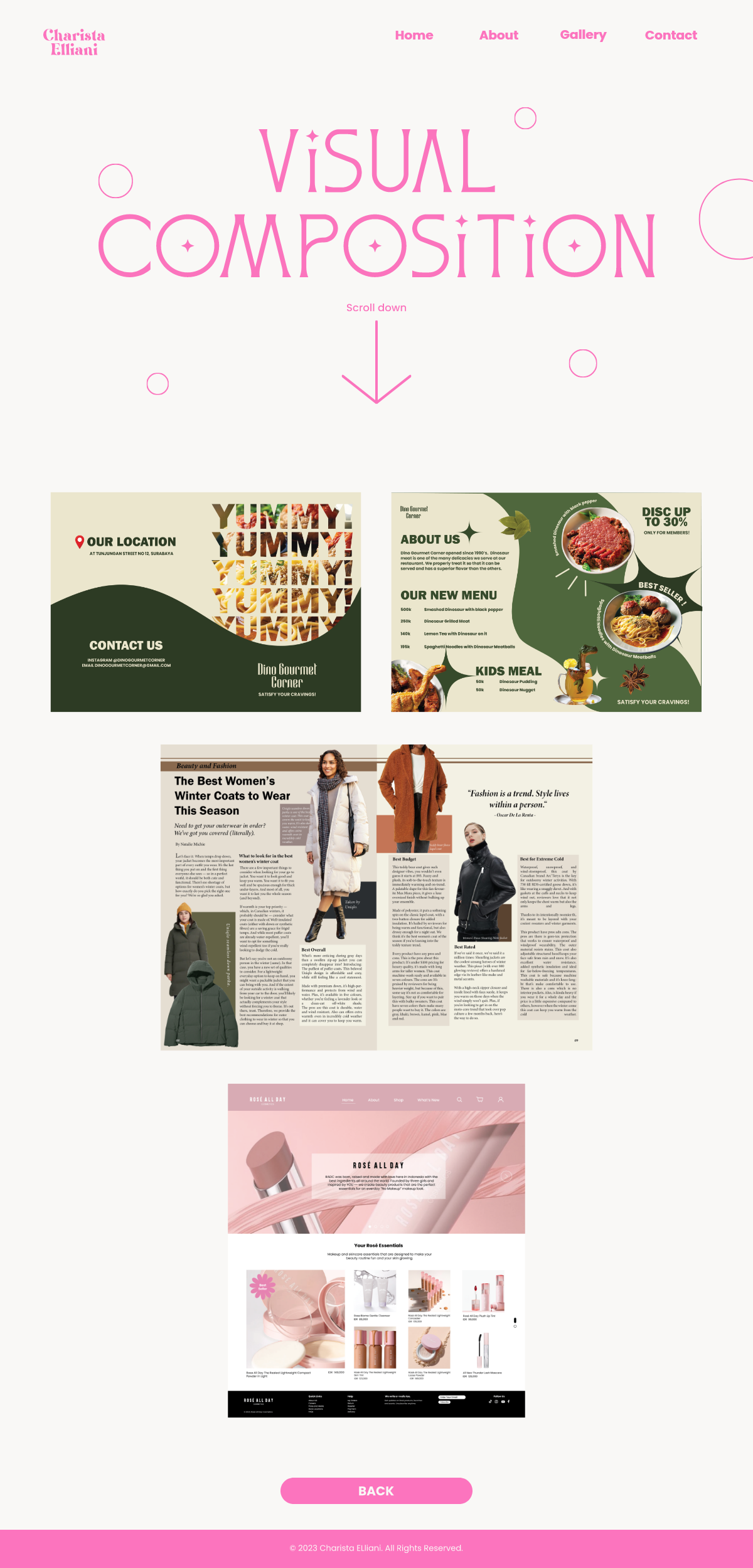 Website 2